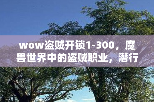 wow盗贼开锁1-300，魔兽世界中的盗贼职业，潜行、敏捷与破坏的艺术