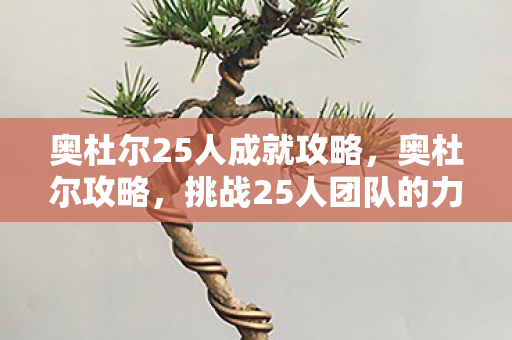 奥杜尔25人成就攻略，奥杜尔攻略，挑战25人团队的力量之巅