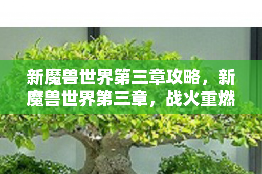 新魔兽世界第三章攻略，新魔兽世界第三章，战火重燃的传奇之旅