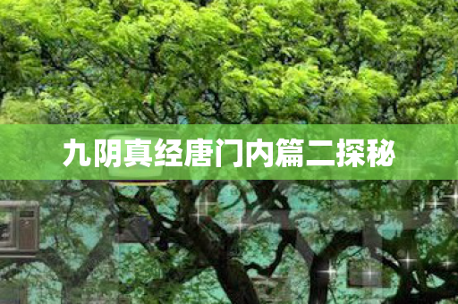 九阴真经唐门内篇二探秘