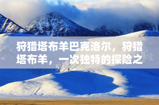 狩猎塔布羊巴克洛尔，狩猎塔布羊，一次独特的探险之旅