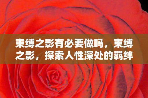 束缚之影有必要做吗，束缚之影，探索人性深处的羁绊与解脱