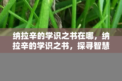 纳拉辛的学识之书在哪，纳拉辛的学识之书，探寻智慧的宝藏