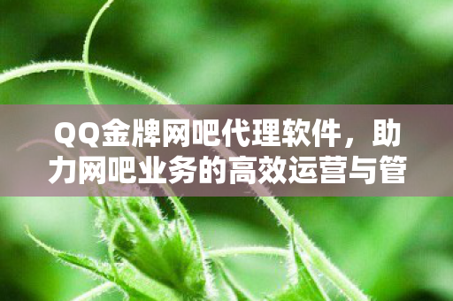 QQ金牌网吧代理软件，助力网吧业务的高效运营与管理