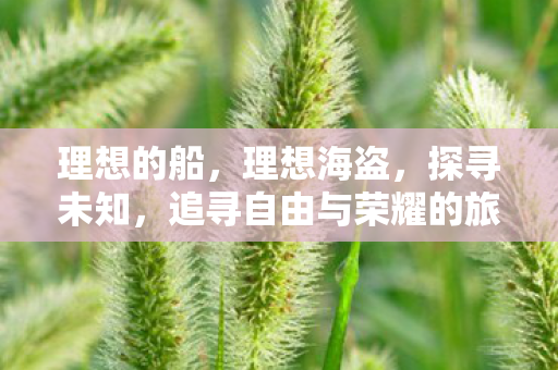 理想的船，理想海盗，探寻未知，追寻自由与荣耀的旅程