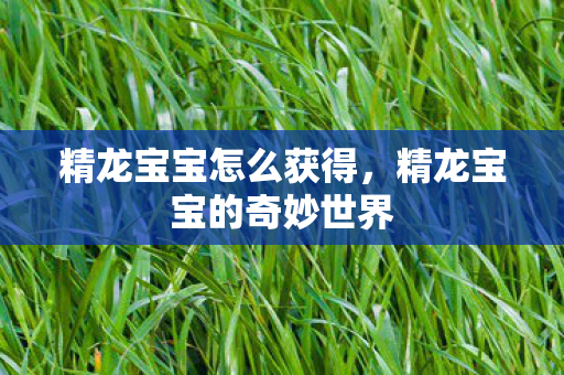 精龙宝宝怎么获得，精龙宝宝的奇妙世界