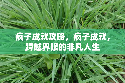 疯子成就攻略，疯子成就，跨越界限的非凡人生