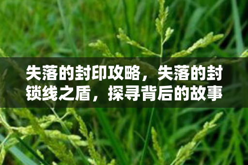 失落的封印攻略，失落的封锁线之盾，探寻背后的故事与真相