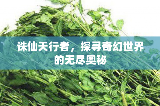 诛仙天行者，探寻奇幻世界的无尽奥秘