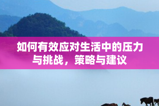 如何有效应对生活中的压力与挑战，策略与建议