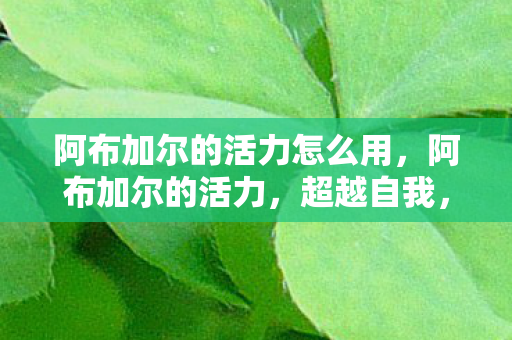 阿布加尔的活力怎么用，阿布加尔的活力，超越自我，追求卓越