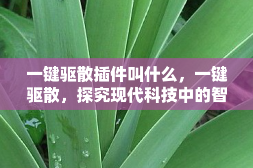 一键驱散插件叫什么，一键驱散，探究现代科技中的智能解决方案如何改变我们的生活