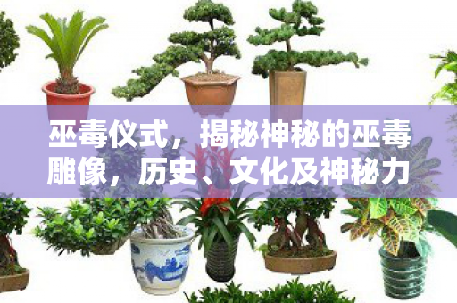 巫毒仪式，揭秘神秘的巫毒雕像，历史、文化及神秘力量的探索