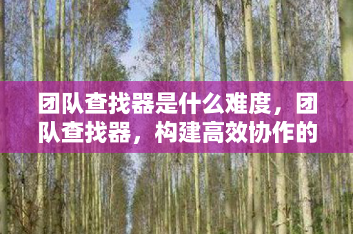 团队查找器是什么难度，团队查找器，构建高效协作的基石