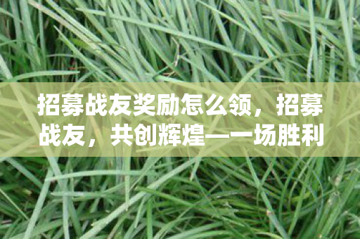 招募战友奖励怎么领，招募战友，共创辉煌—一场胜利战役的序曲