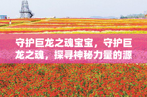守护巨龙之魂宝宝，守护巨龙之魂，探寻神秘力量的源泉