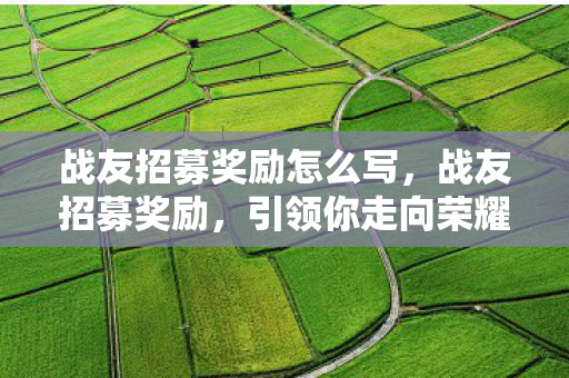 战友招募奖励怎么写，战友招募奖励，引领你走向荣耀之路
