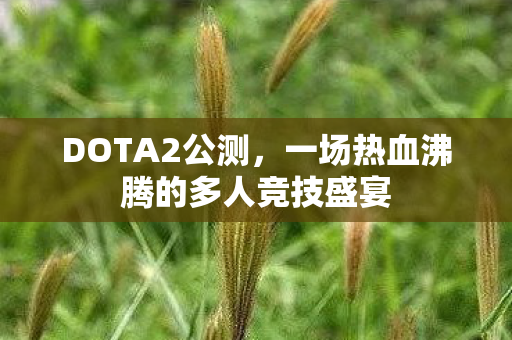 DOTA2公测，一场热血沸腾的多人竞技盛宴