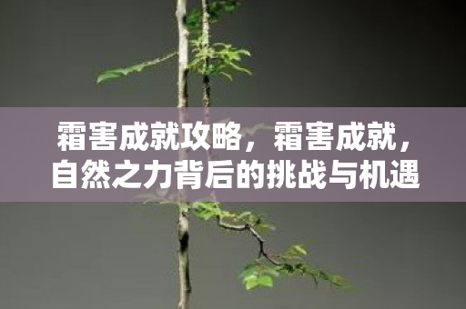 霜害成就攻略，霜害成就，自然之力背后的挑战与机遇