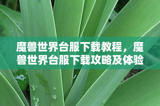 魔兽世界台服下载教程，魔兽世界台服下载攻略及体验分享