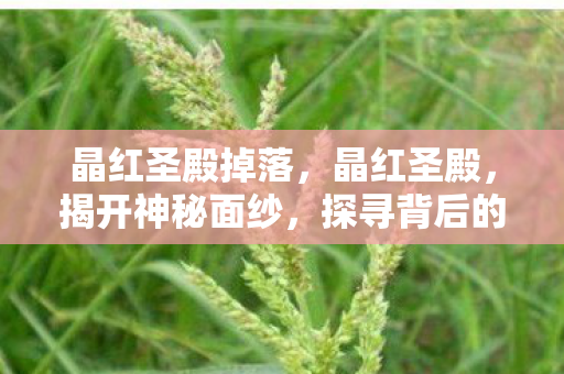 晶红圣殿掉落，晶红圣殿，揭开神秘面纱，探寻背后的传奇故事