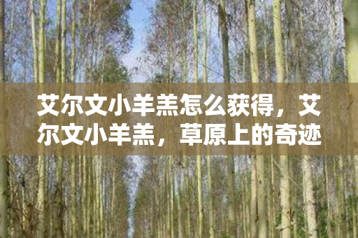 艾尔文小羊羔怎么获得，艾尔文小羊羔，草原上的奇迹与生命的坚韧