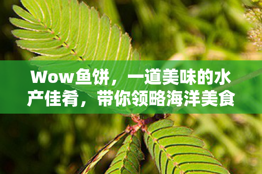 Wow鱼饼，一道美味的水产佳肴，带你领略海洋美食的魅力