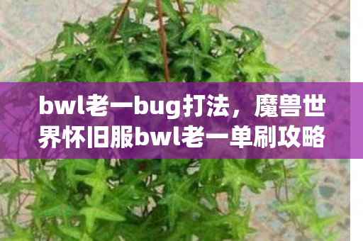 bwl老一bug打法，魔兽世界怀旧服bwl老一单刷攻略详解