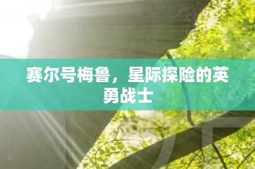 赛尔号梅鲁，星际探险的英勇战士