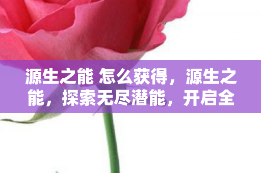 源生之能 怎么获得，源生之能，探索无尽潜能，开启全新未来