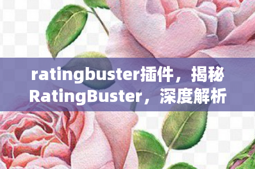 ratingbuster插件，揭秘RatingBuster，深度解析背后的秘密