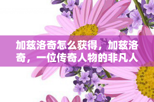 加兹洛奇怎么获得，加兹洛奇，一位传奇人物的非凡人生