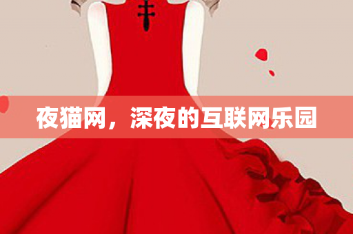 夜猫网，深夜的互联网乐园