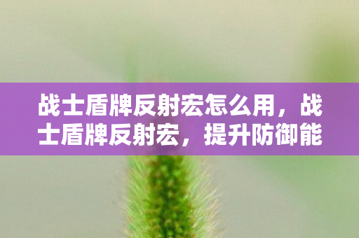 战士盾牌反射宏怎么用，战士盾牌反射宏，提升防御能力的关键所在