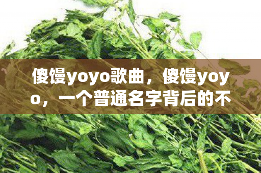 傻馒yoyo歌曲，傻馒yoyo，一个普通名字背后的不平凡故事