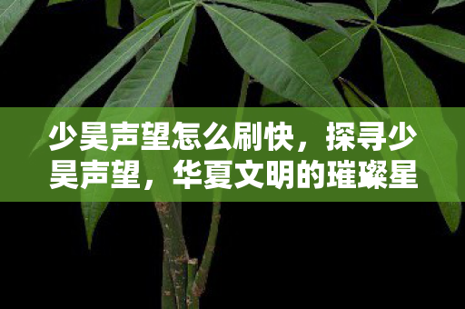 少昊声望怎么刷快，探寻少昊声望，华夏文明的璀璨星辰