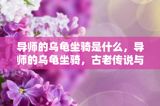导师的乌龟坐骑是什么，导师的乌龟坐骑，古老传说与现代启示