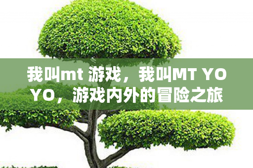 我叫mt 游戏，我叫MT YOYO，游戏内外的冒险之旅