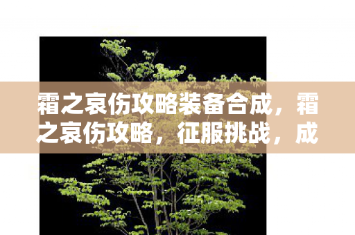 霜之哀伤攻略装备合成，霜之哀伤攻略，征服挑战，成为最后的胜者