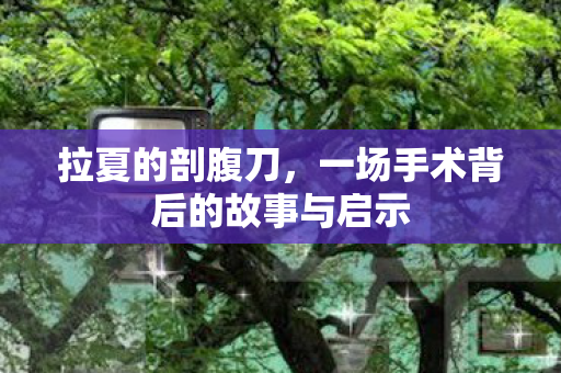 拉夏的剖腹刀，一场手术背后的故事与启示
