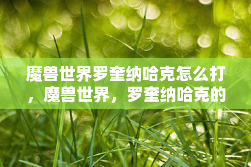 魔兽世界罗奎纳哈克怎么打，魔兽世界，罗奎纳哈克的传奇之旅