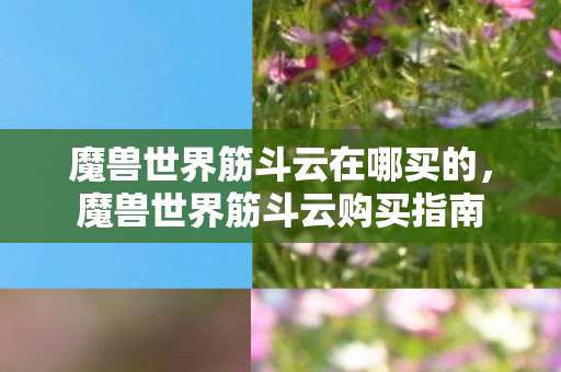 魔兽世界筋斗云在哪买的，魔兽世界筋斗云购买指南