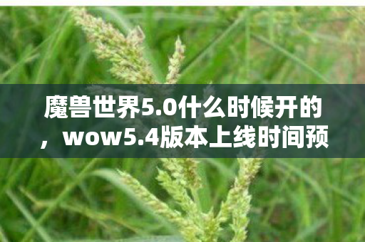 魔兽世界5.0什么时候开的，wow5.4版本上线时间预测与期待