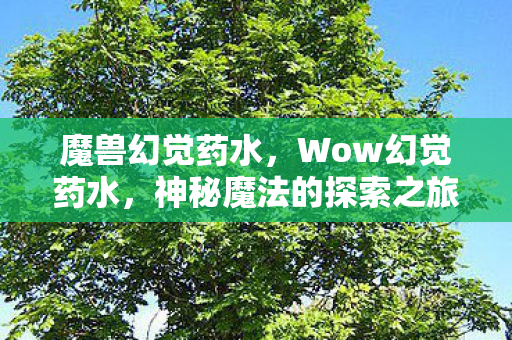 魔兽幻觉药水，Wow幻觉药水，神秘魔法的探索之旅