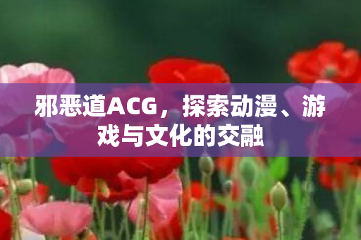 邪恶道ACG，探索动漫、游戏与文化的交融