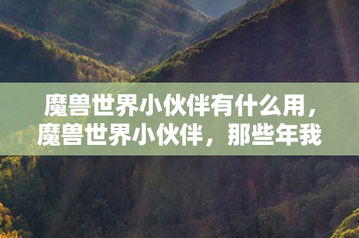 魔兽世界小伙伴有什么用，魔兽世界小伙伴，那些年我们共同走过的冒险之路