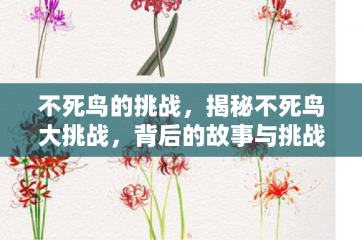 不死鸟的挑战，揭秘不死鸟大挑战，背后的故事与挑战之路