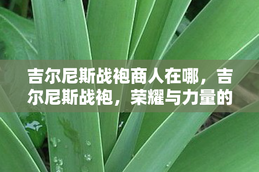 吉尔尼斯战袍商人在哪，吉尔尼斯战袍，荣耀与力量的象征