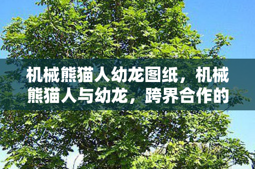 机械熊猫人幼龙图纸，机械熊猫人与幼龙，跨界合作的奇妙产物
