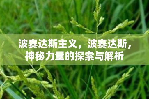 波赛达斯主义，波赛达斯，神秘力量的探索与解析